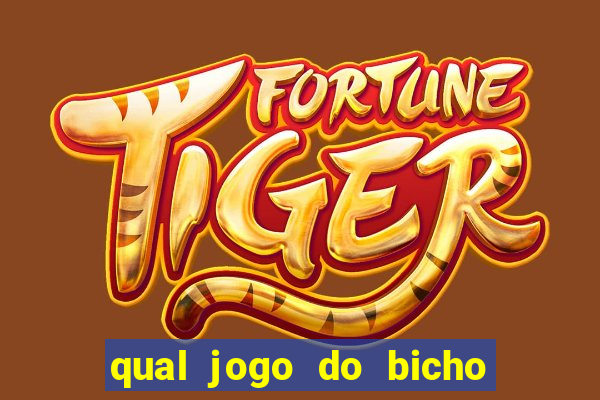 qual jogo do bicho paga mais